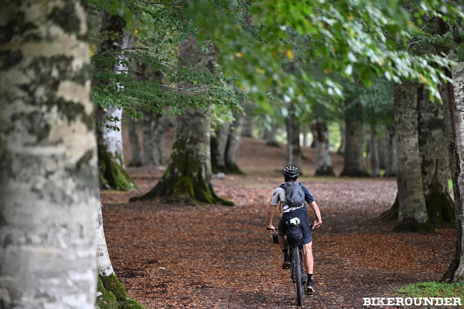 Basilicata Bike Trail - Nella faggeta di piana del lago