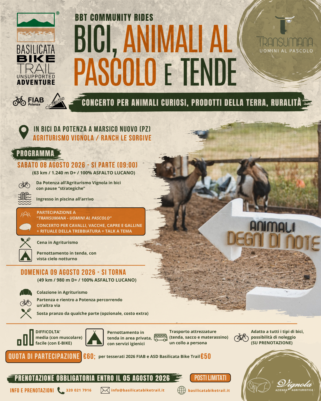 BICI, ANIMALI AL PASCOLO E TENDE
