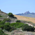 BBB_9354 w